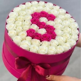 Round box of white and hot pink roses with a ribbon bow