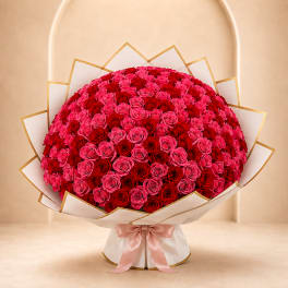 Large bouquet of pink and red roses wrapped in white paper with a pink ribbon