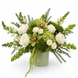 White roses and green orchids in a pale green vase