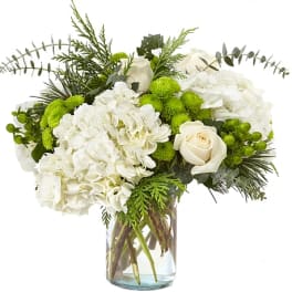 Winter Bliss Bouquet