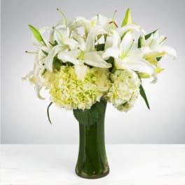 White lilies and pale hydrangeas in a tall green glass vase