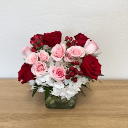 Blushing Love