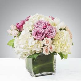 Pink roses and white hydrangeas in a clear square vase