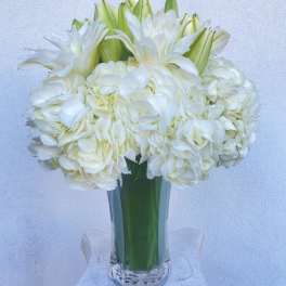 Heaven in a Vase