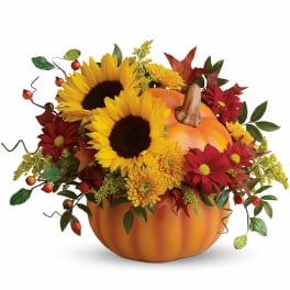 Fall floral arrangement in a pumpkin container with sunflowers and red daisies