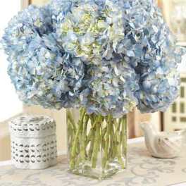 Blue Hydrangea Bouquet