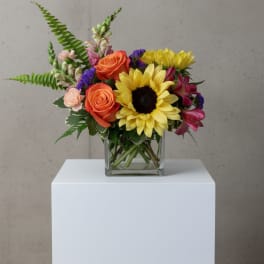 Sunflower and orange rose arrangement in a square glass vase