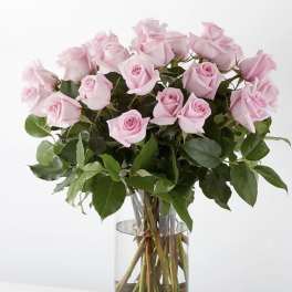 18 pink Roses