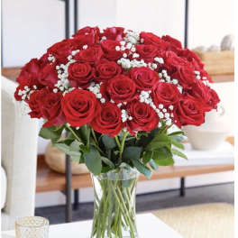 24 Red Roses/babybreath