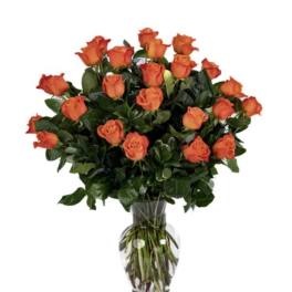 18 Orange Roses