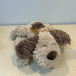 Bundle of fluffy dried seed pods tied with a ribbon