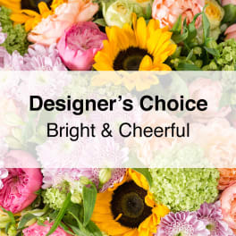 Designer's Choice - Bright and Cheerful