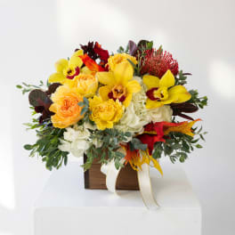 Yellow orchids and roses arranged in a wooden box with white hydrangeas