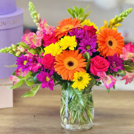 Splendid Surprise