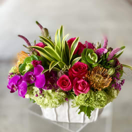 Mookie - Tropical, Colorful flowers Are a Home Run