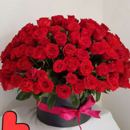 My Lovely