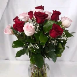 Red And Pink