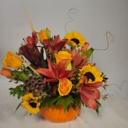 Spiced Sunset Pumpkin