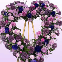 Violet Dreams