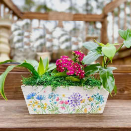 Pink flowers in a painted rectangular planter with green foliage