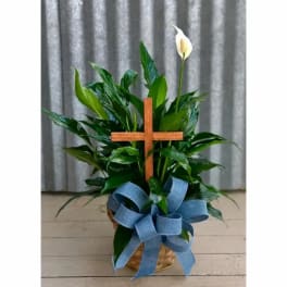Potted peace lily with a wooden cross and blue ribbon in a basket