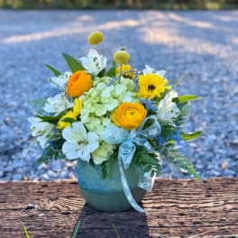 Yellow and white flower arrangement in a blue vase with a ribbon