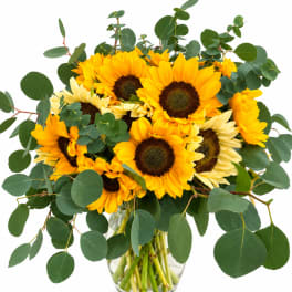 Bouquet of yellow sunflowers with eucalyptus in a clear glass vase
