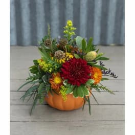 Autumn floral arrangement in an orange pumpkin container