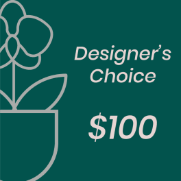 Designer’s Choice gift card graphic with a $100 amount on a teal background