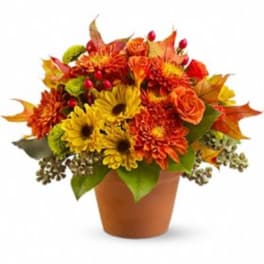 Autumn bouquet of orange and yellow flowers in a terracotta pot