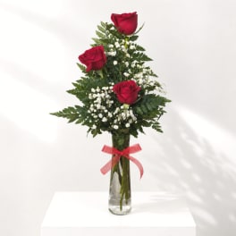 Three red roses in a clear glass vase with baby's breath