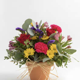 Mixed bouquet of red roses, yellow daisies, and pink flowers in a terracotta pot