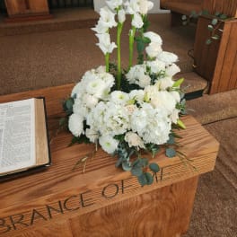 Serenity by Barrio Logan Florist