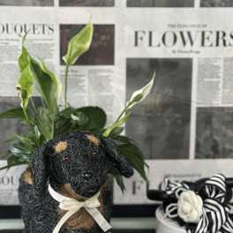 Black woven dog figurine with a cream ribbon, beside a potted peace lily