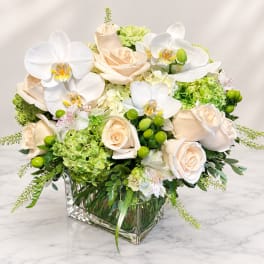 White orchids and pale roses in a square glass vase with green accents