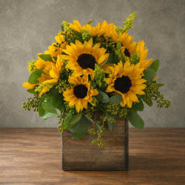 Sunflower arrangement in a rustic wooden box