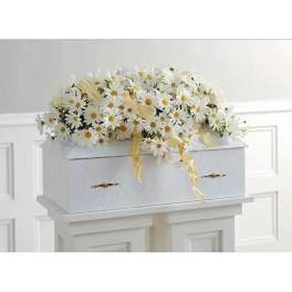 White daisy arrangement on a white casket with yellow ribbon