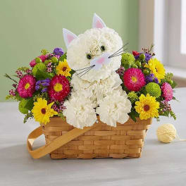 Basket of flowers arranged as a white cat with colorful blooms