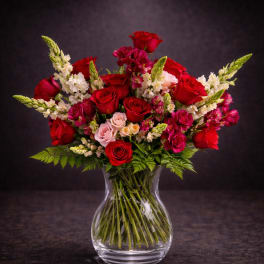 Velvet Rose