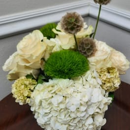 White roses and hydrangeas with green moss accents in a low arrangement