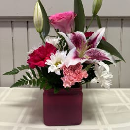 Pink Lilly Celebration