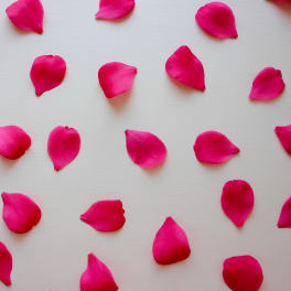 Loose Rose Petals (choose color)