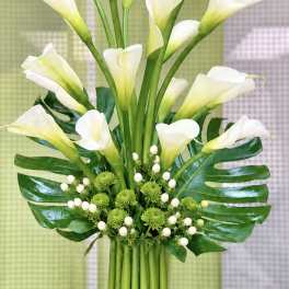 Bouquet of white calla lilies with green accents and tropical leaves