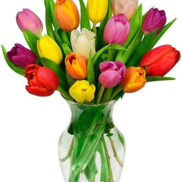 terrific tulips
