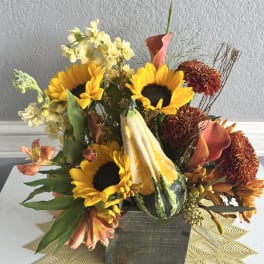 Fall sunflowers