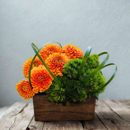 Orange flowers arranged with bright green moss in a wooden box