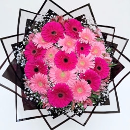 Pink and magenta gerbera daisy bouquet with black wrap