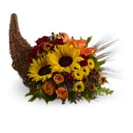 Heavenly Cornucopia
