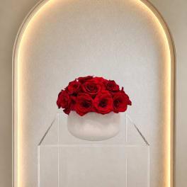 Red Rose Dome