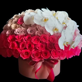 Pink roses and white orchids arranged in a round box with ribbon